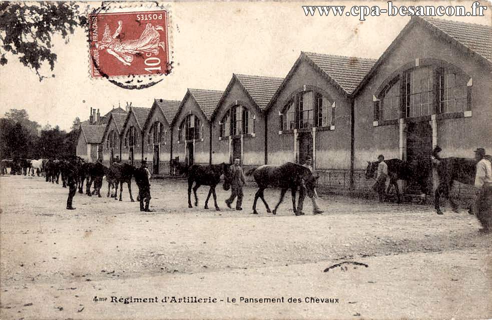 4me Régiment d'Artillerie - Le Pansement des Chevaux